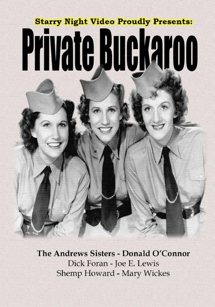 Private Buckaroo - Starry Night Publishing