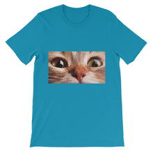 Cat t-shirt