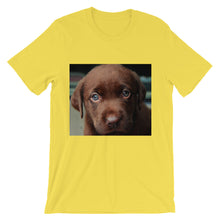 Puppy t-shirt