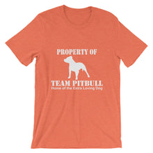 Property of Team Pitbull t-shirt