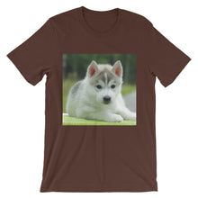 Puppy t-shirt