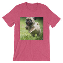 Pug t-shirt