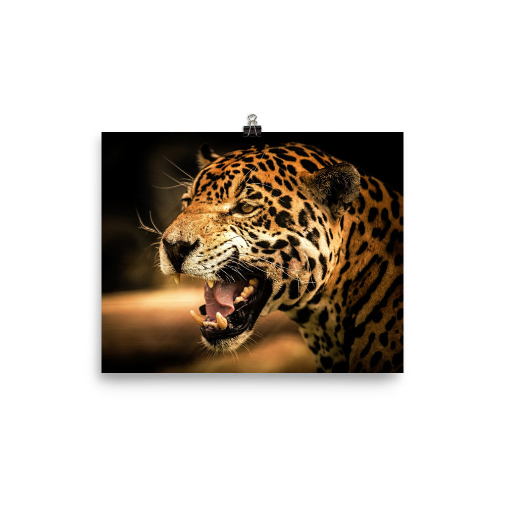 Jaguar poster