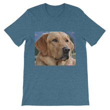Dog t-shirt