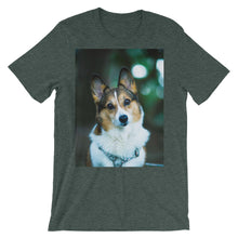 Corgi t-shirt