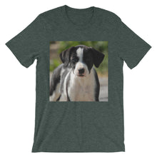 Dog t-shirt