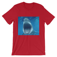 Shark t-shirt