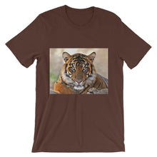 Tiger t-shirt