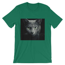 Cat t-shirt