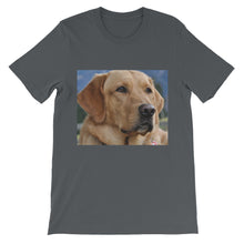 Dog t-shirt