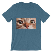 Cat t-shirt