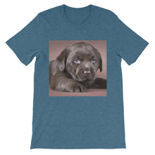 Puppy t-shirt