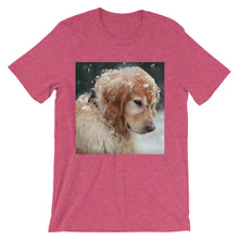 Dog t-shirt