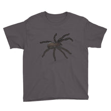 Spider Youth Short Sleeve T-Shirt