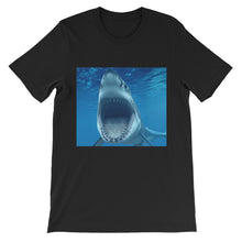 Shark t-shirt