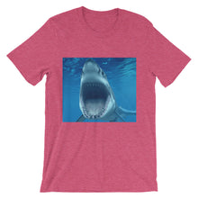 Shark t-shirt