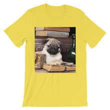 Pug t-shirt