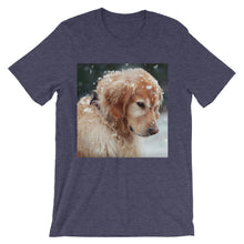 Dog t-shirt