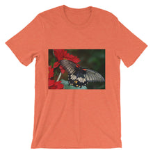 Butterfly t-shirt