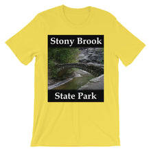 Stony Brook t-shirt