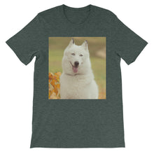 Dog t-shirt