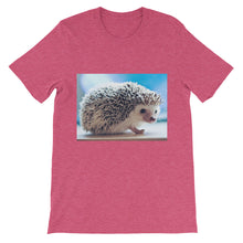 Hedgehog t-shirt