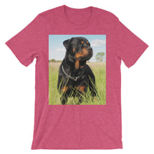 Rottweiler t-shirt