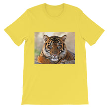 Tiger t-shirt