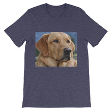 Dog t-shirt
