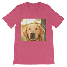 Dog t-shirt