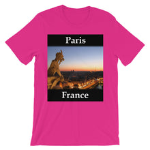 Paris t-shirt