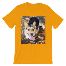 Corgi t-shirt