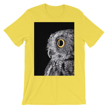 Owl t-shirt
