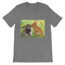 Rabbits t-shirt