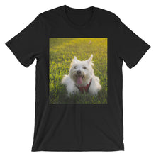 Dog t-shirt