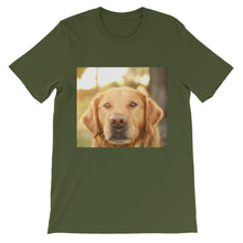 Dog t-shirt