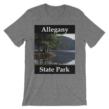 Allegany State Park t-shirt