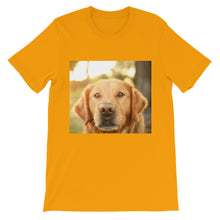 Dog t-shirt