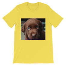 Puppy t-shirt