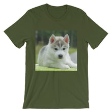 Puppy t-shirt