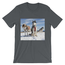Huskies t-shirt