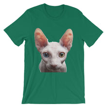 Cat t-shirt
