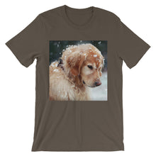 Dog t-shirt