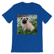 Pug t-shirt