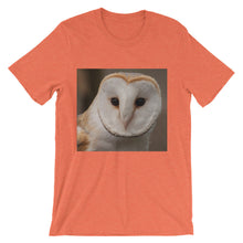 Owl t-shirt