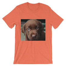 Puppy t-shirt