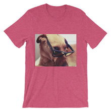 Dog with glasses t-shirt