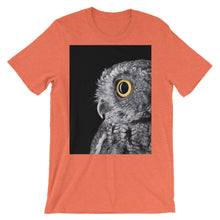 Owl t-shirt