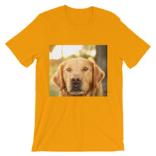 Dog t-shirt