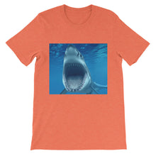 Shark t-shirt